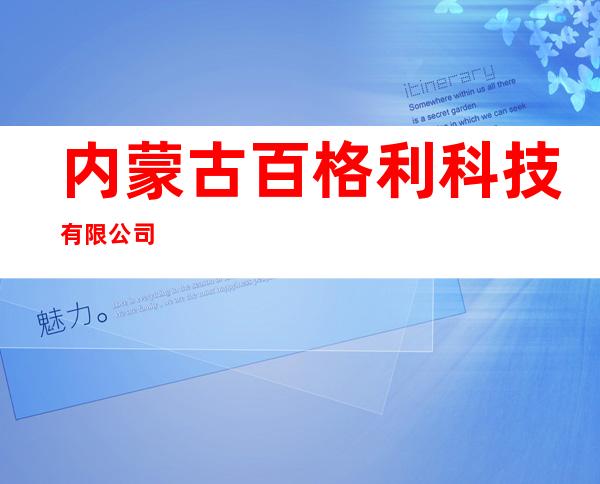 内蒙古百格利科技有限公司